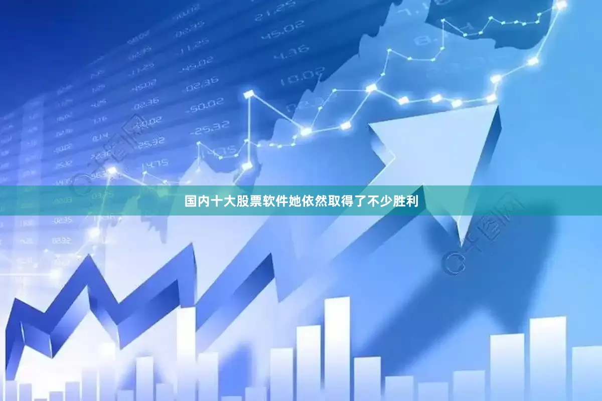 国内十大股票软件她依然取得了不少胜利